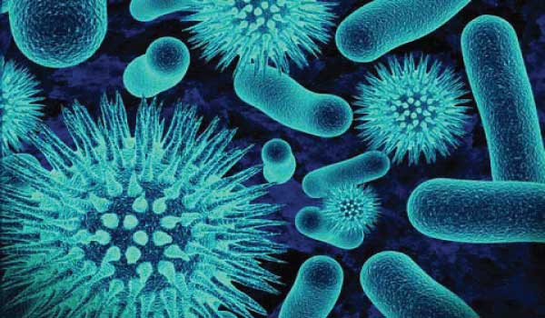 Contoh Makalah Farmasi Analisis Mikrobiologi Terbaru